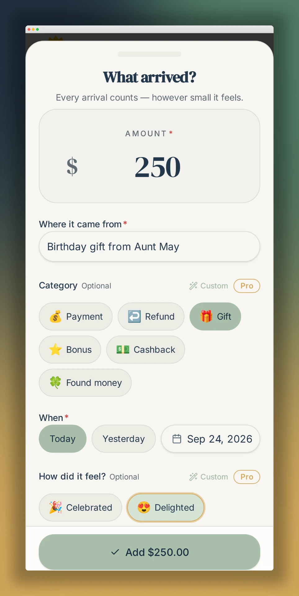 Track Abundance log entry sheet with amount, source, category, date, and feeling fields